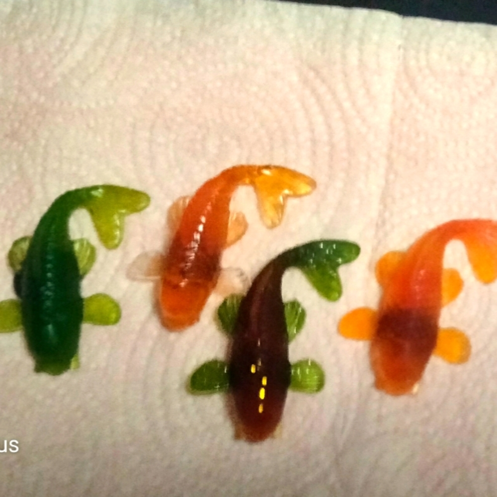 Koi fish magnets